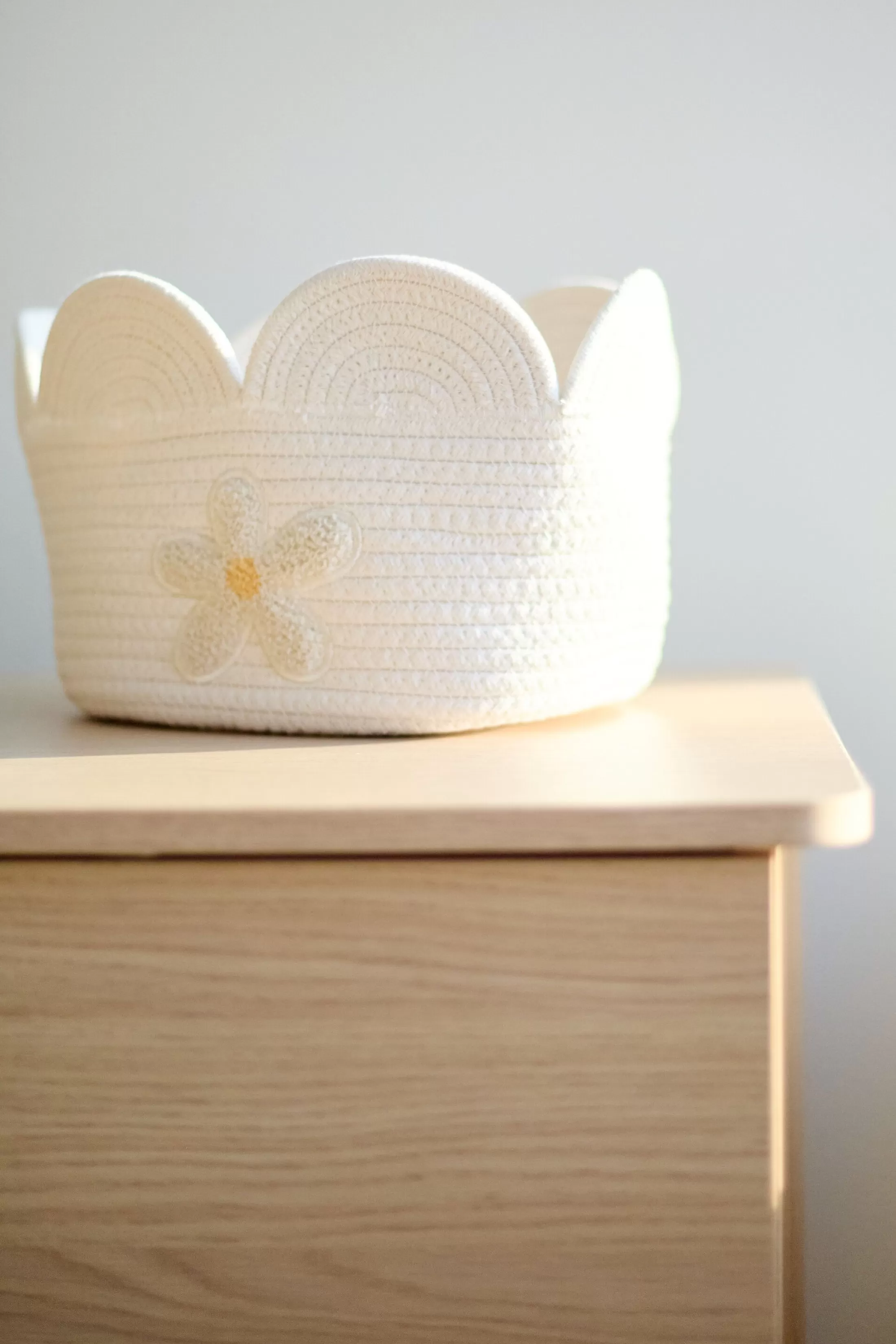 Discount Panier fleur - 30x20x15CM - Corde De Coton - Ecru Paniers De Rangement